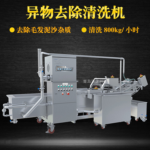 全自動蔬菜清洗機，清洗800kg小時，全自動蔬菜清洗機