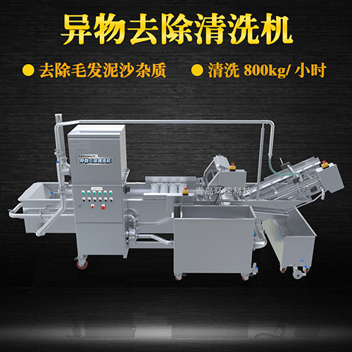 果蔬清洗機設備，氣泡清洗，清洗800kg小時